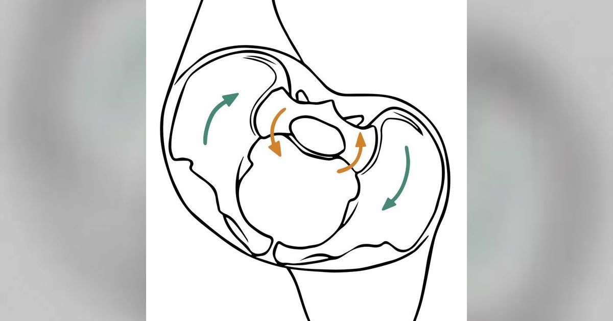 Si Rotation 74: Sacroiliac Joints: The Next Level (with Til Luchau & Whitney Lowe ...