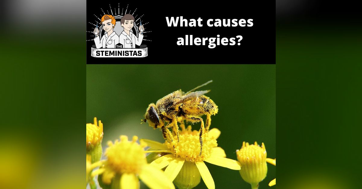 What Causes Allergies? Steministas
