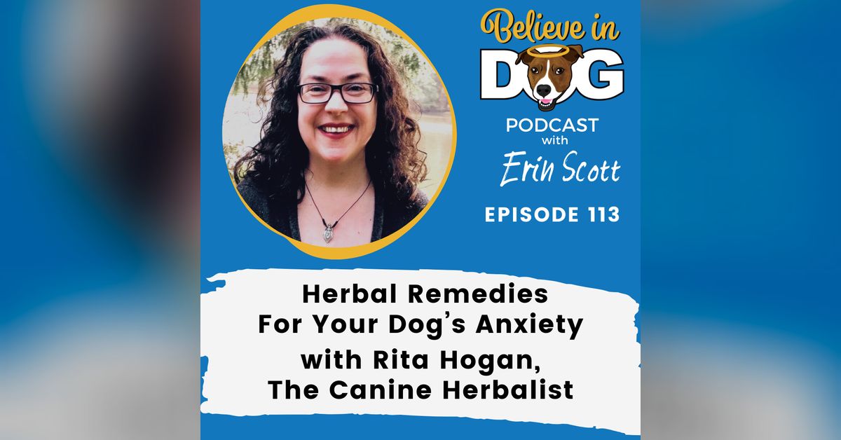 Canine Anxiety And Herbal Remedies