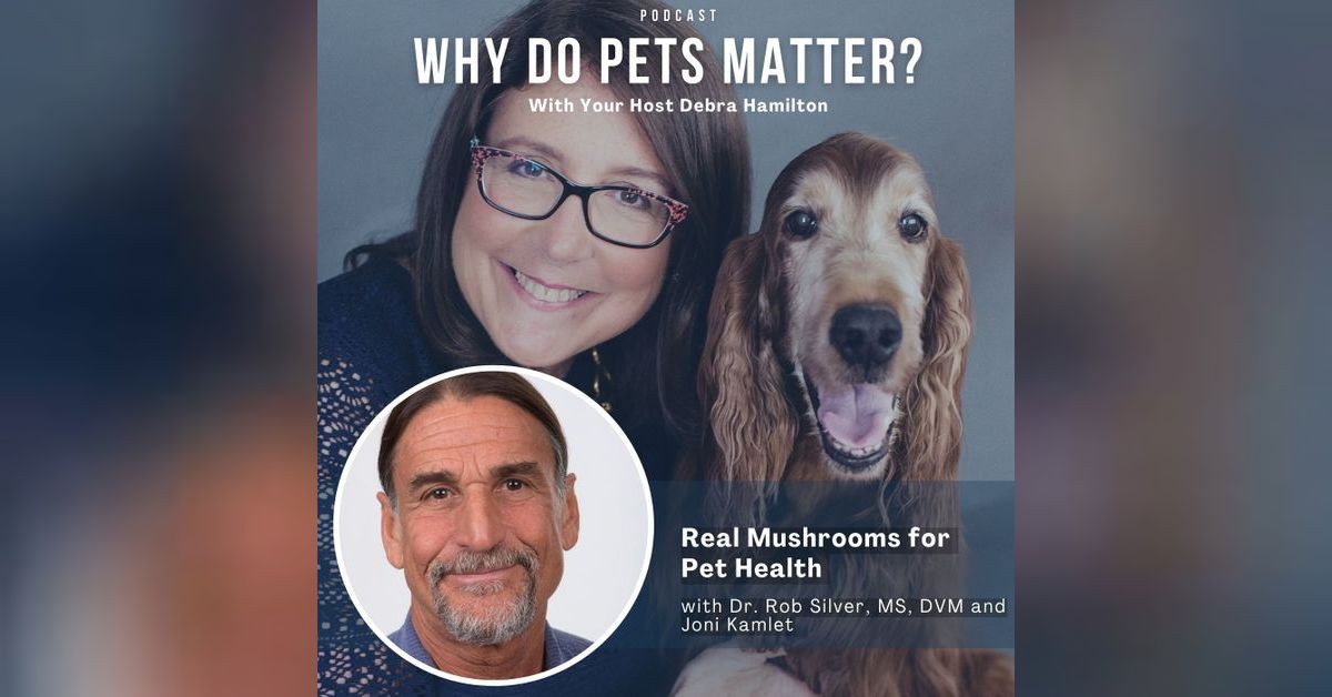 Dr. Rob Silver, MS, DVM and Joni Kamlet - Real Mushrooms for Pets on ...
