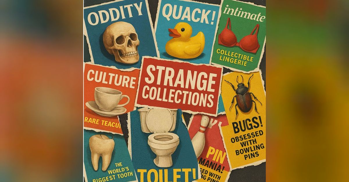 Obsessed and Possessed: A Guide to the World’s Weirdest Collections ...