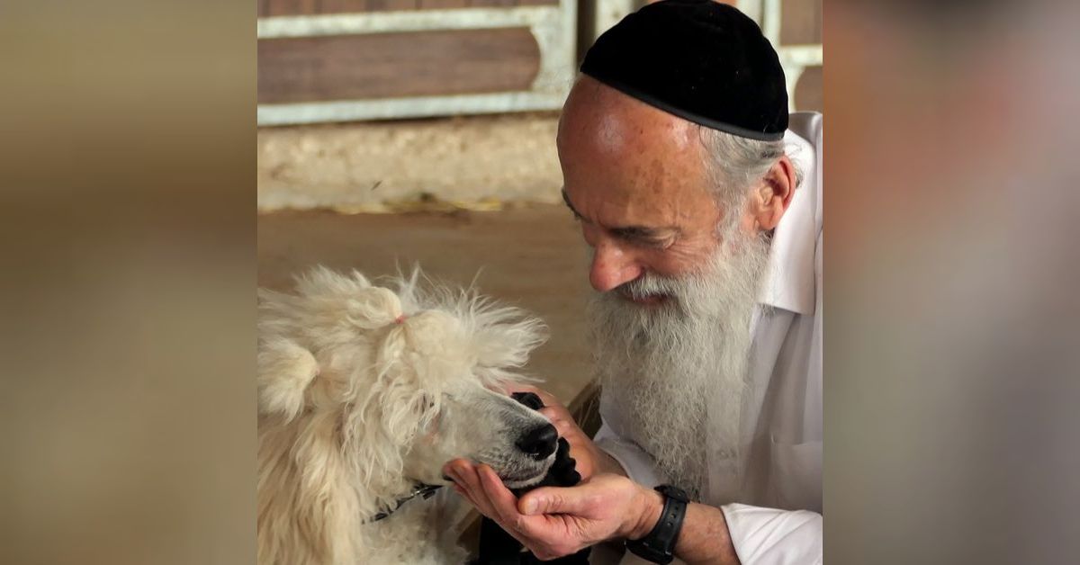 Animal Assisted Therapy Emuna Beams animal-assisted-therapy-emuna-beams