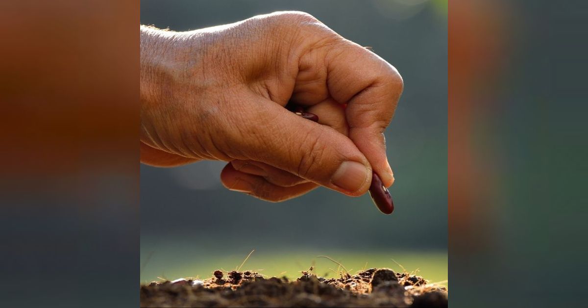 Seeds of Truth: Likutei Moharan I, Torah 7, Part 3 | Emuna Beams