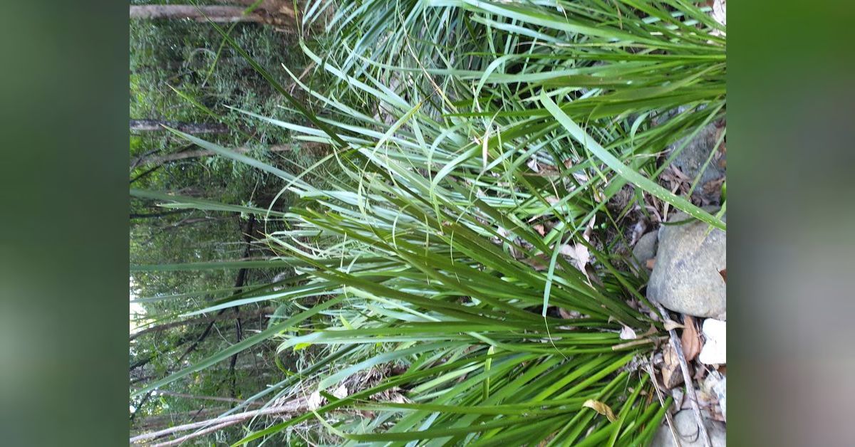 36. Exodus 24 27 The promised land and the Kingdom of Heaven The