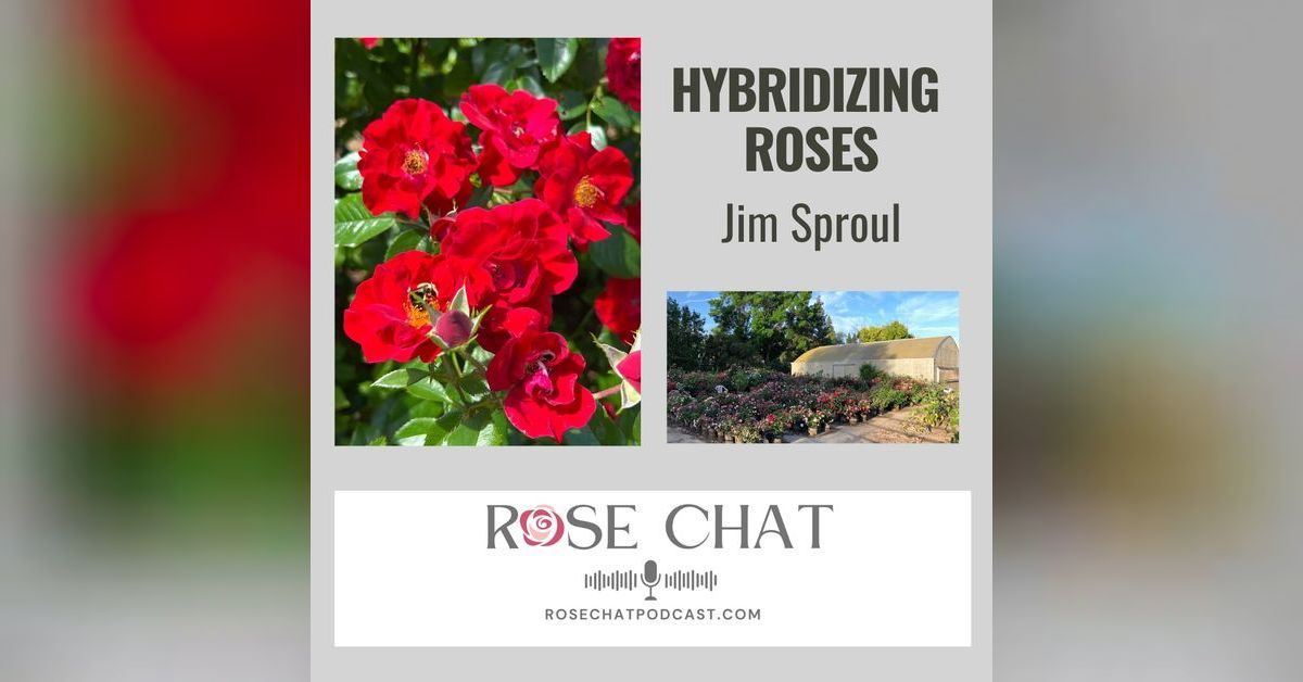 Rose Chat Podcast - ROSE HYBRIDIZING | Free Listening on Podbean App