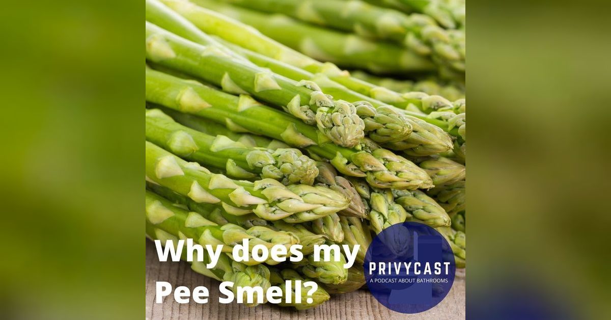 Why Does My Pee Smell? | Privycast