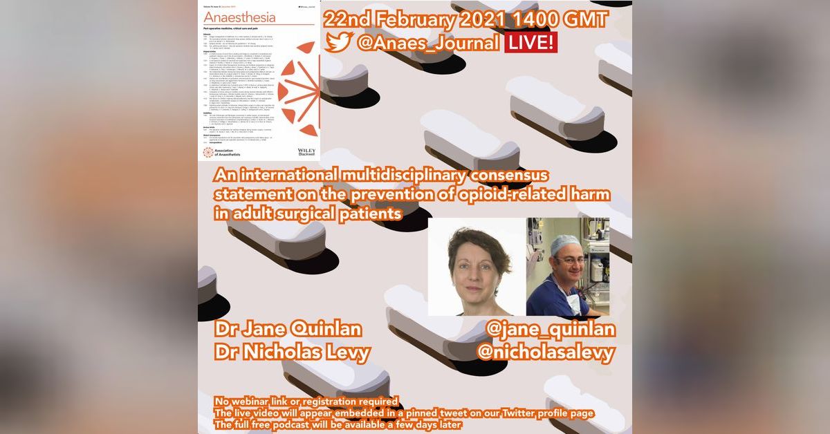 The prevention of opioid‐related harm in adult surgical patients ...