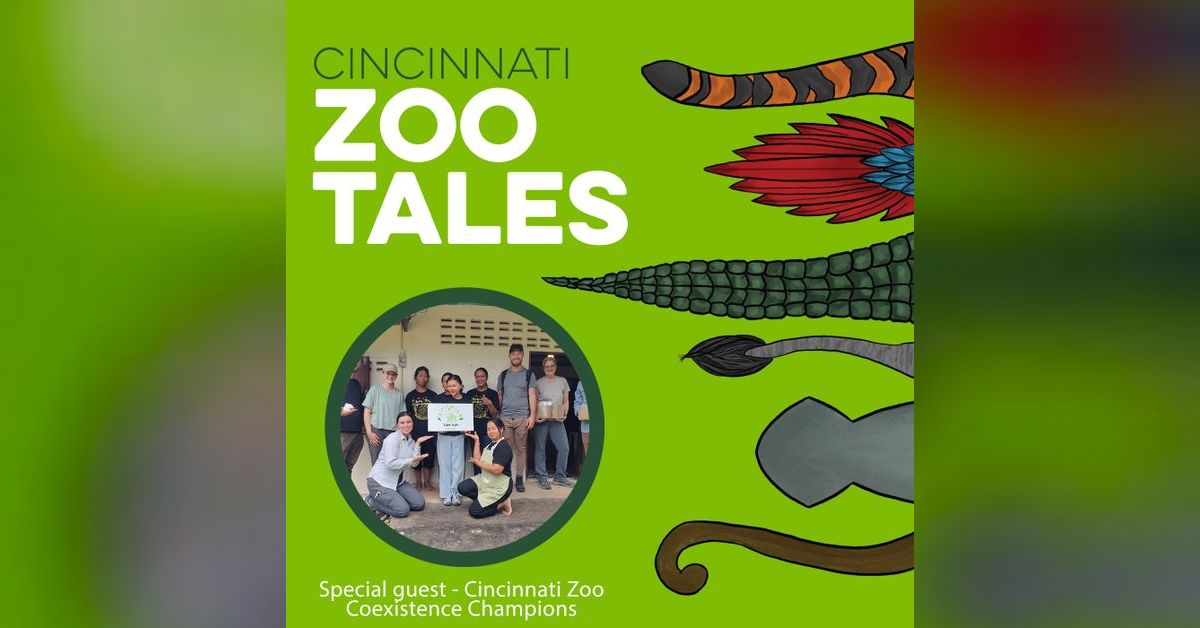 From Cincinnati to Thailand: Cincinnati Zoo Staff Supporting Elephant ...