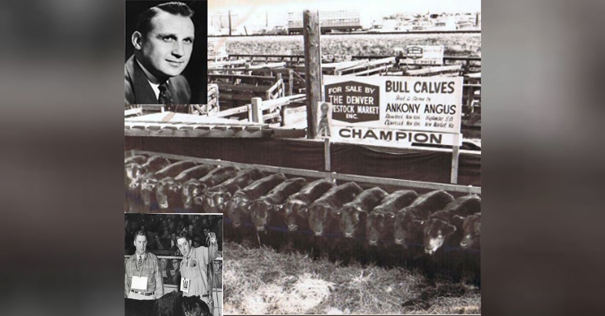 8 - LEGENDARY CATTLEMEN Part 4 - The Americans | Toplines and Tales