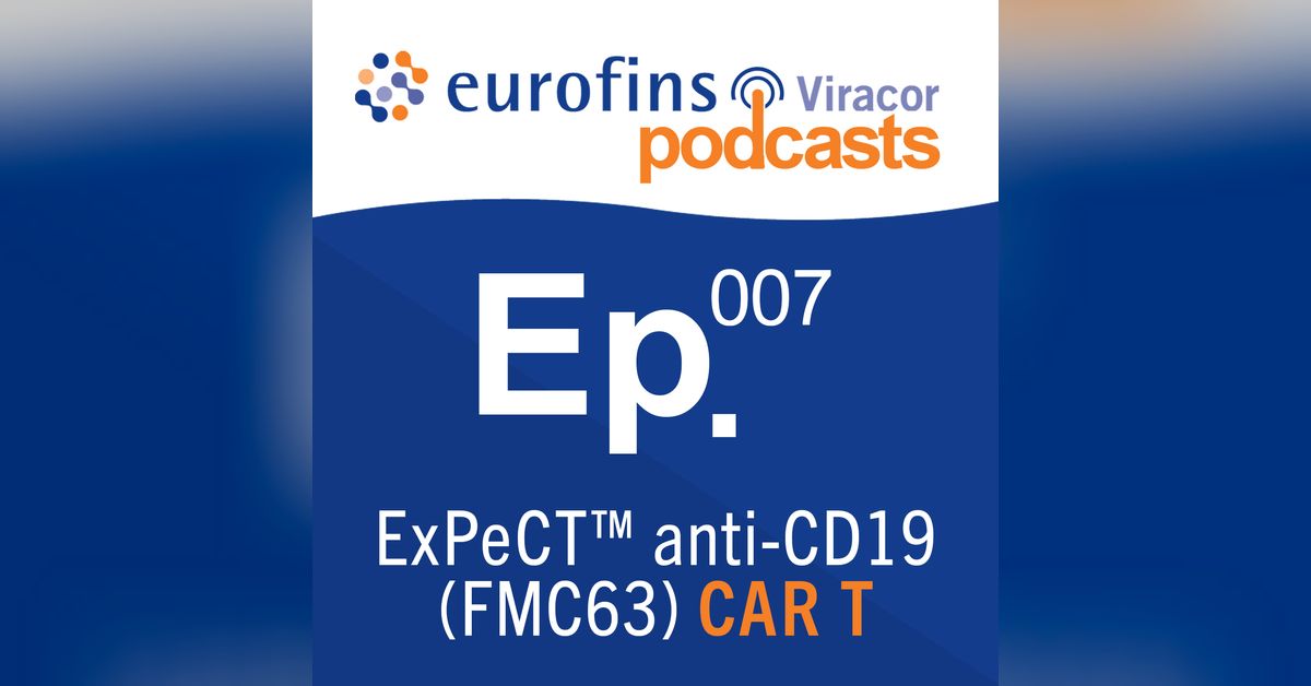 Ep. 07 ExPeCT™ antiCD19 (FMC63) CAR T cell assay discussion
