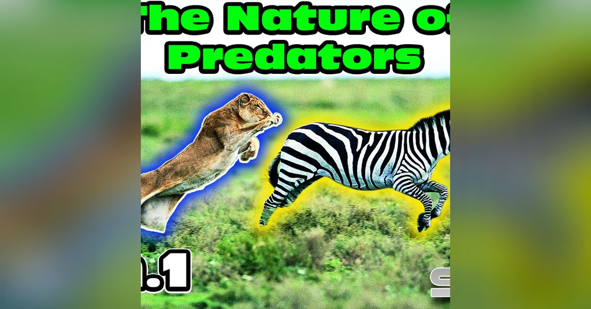 The Nature of Predators ch.70 to 74 HFY Science fiction Audiobook