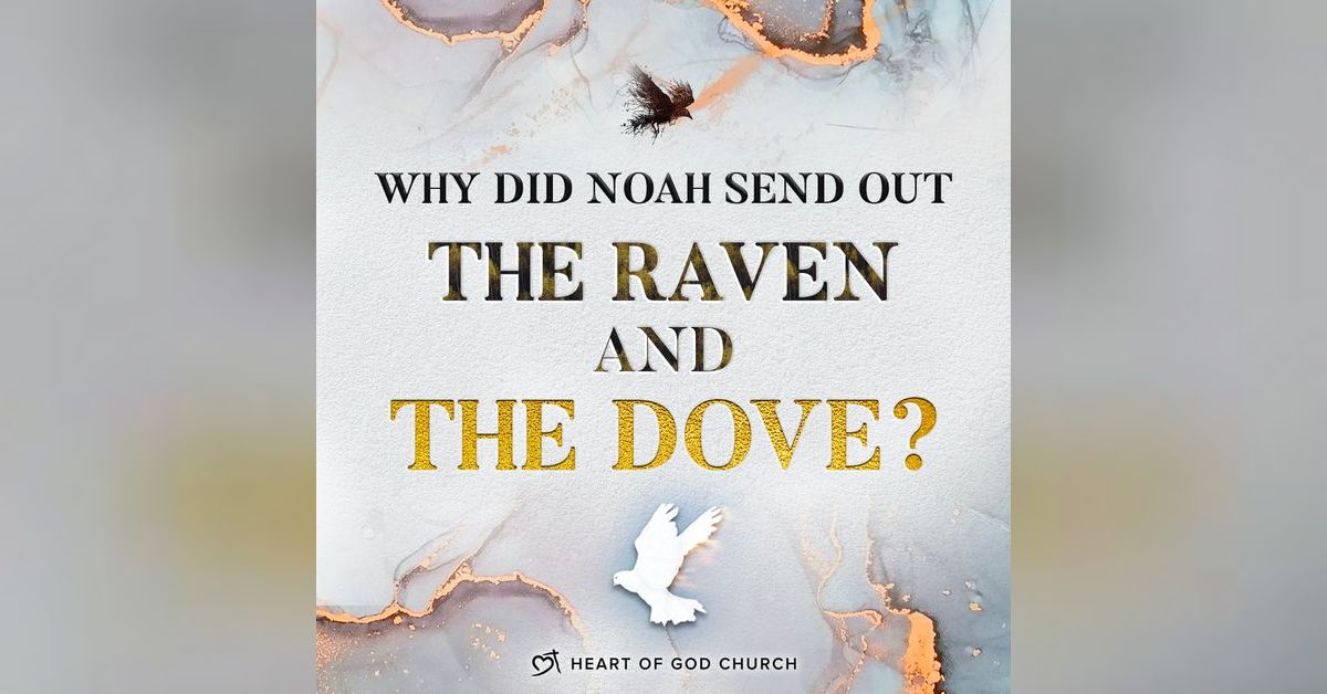 Why did Noah send out the Raven and the Dove? (Part 1 of 4) Pastor