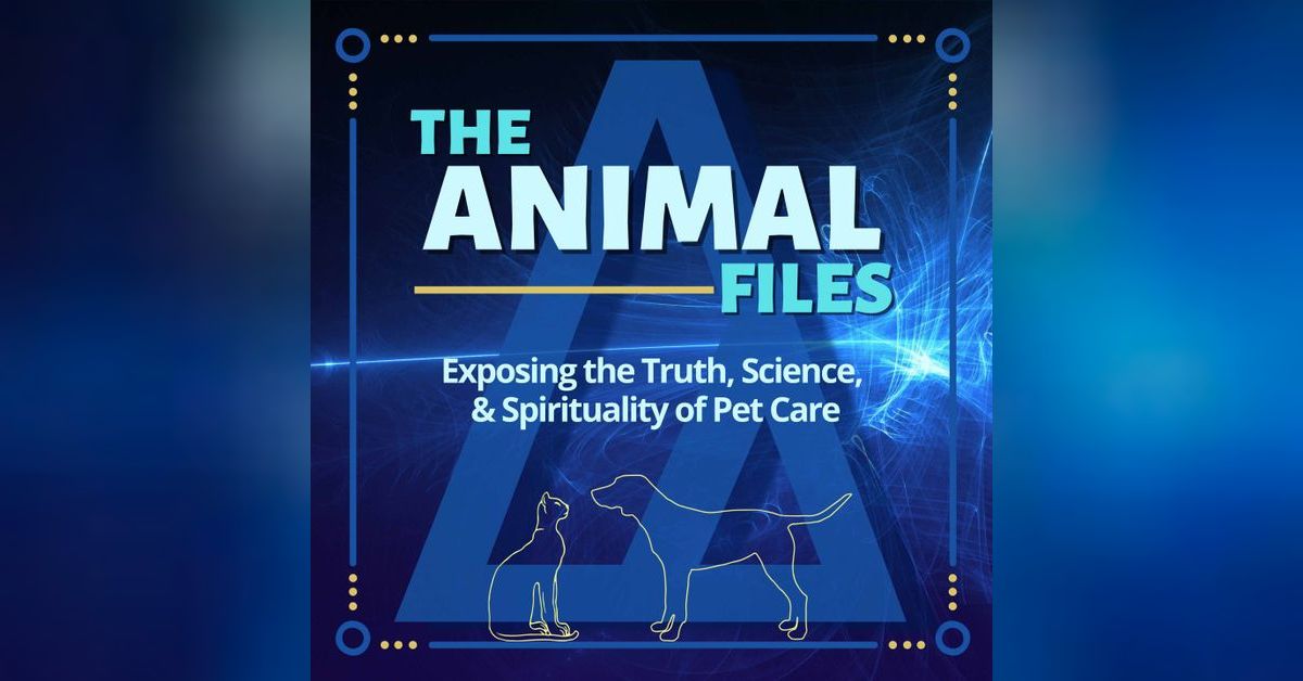 Picture of Feline Leukemia Virus (FeLV) Unmasked: Preventing & Managing ...