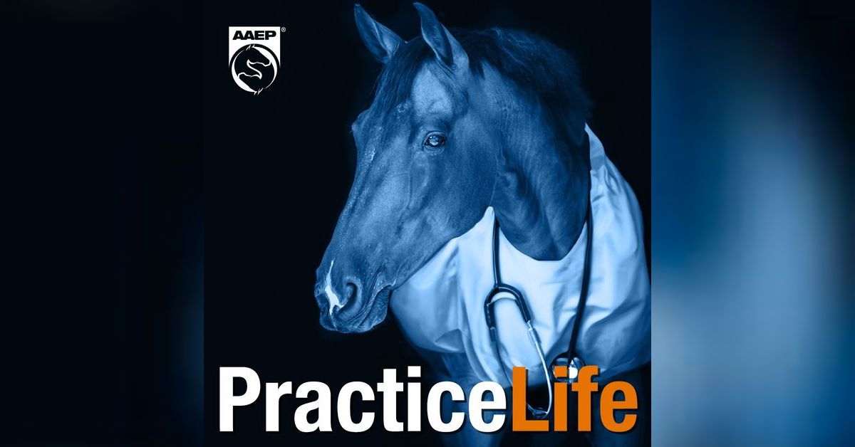 AAEP Practice Life | American Association of Equine Practitioners