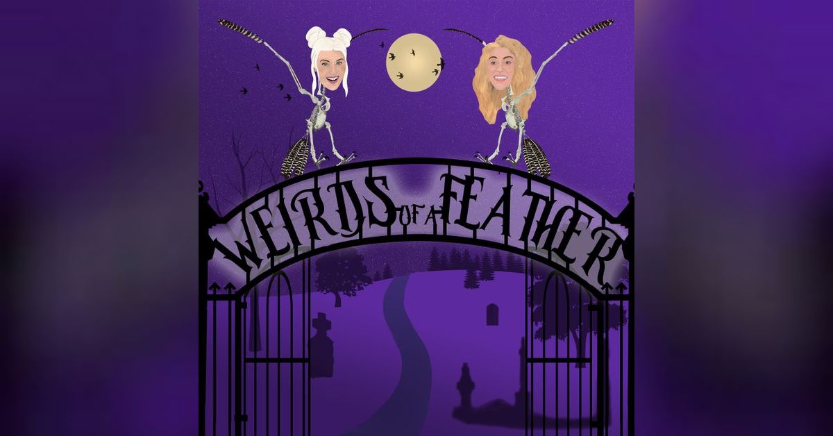 Ep. 78 ADHD & Binocular Vision DysfunctionMr. Strabismus Weirds of