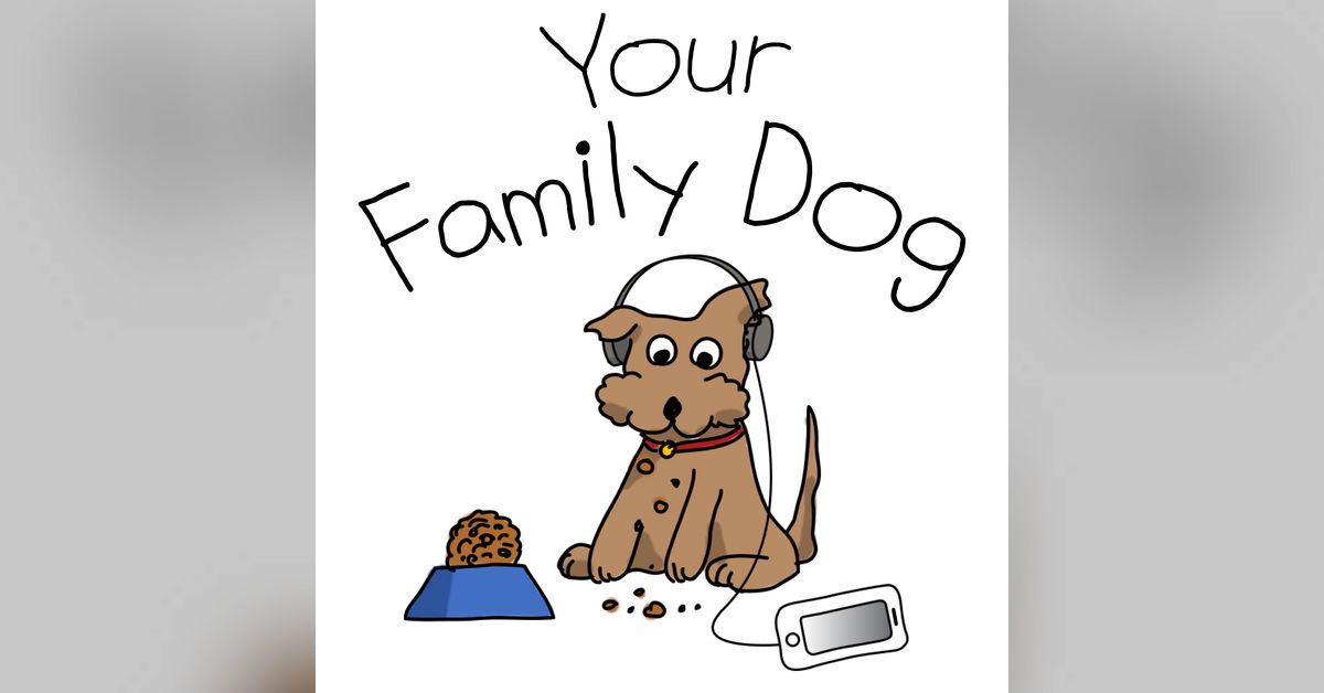 YFD 223 What Is Resource Guarding and Why Is It Important? Your