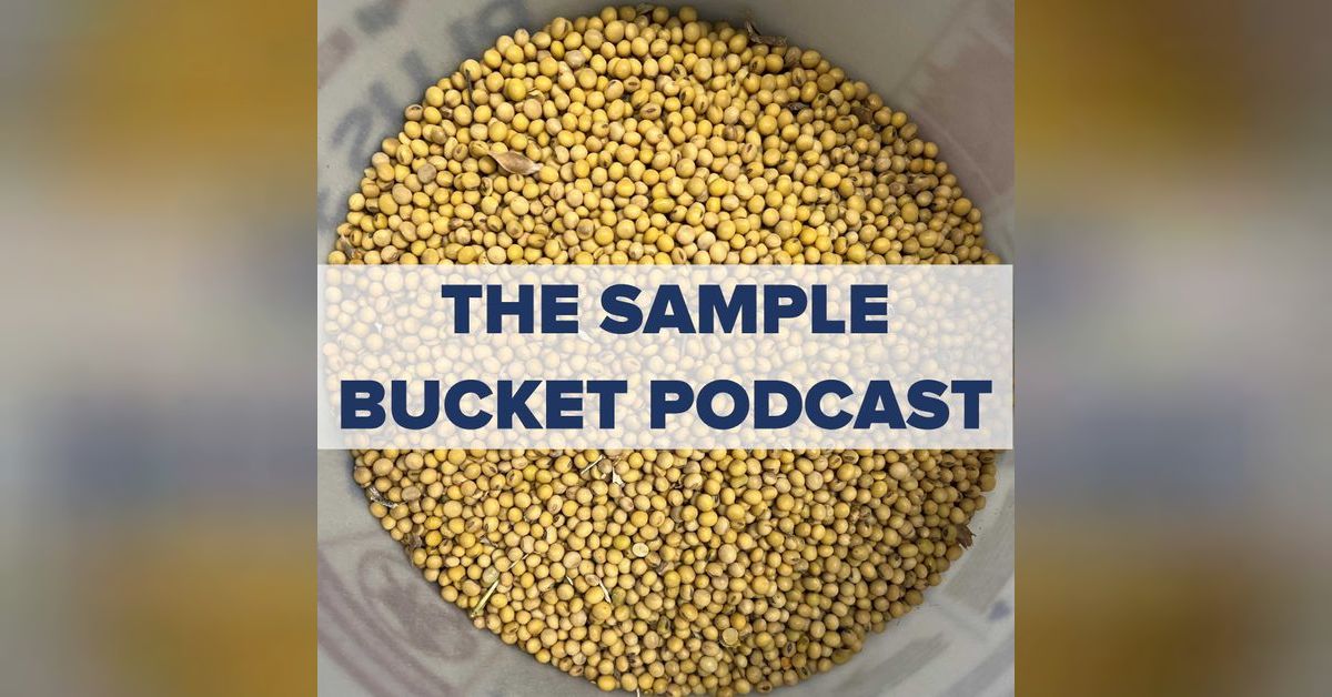 The sample bucket philip luce