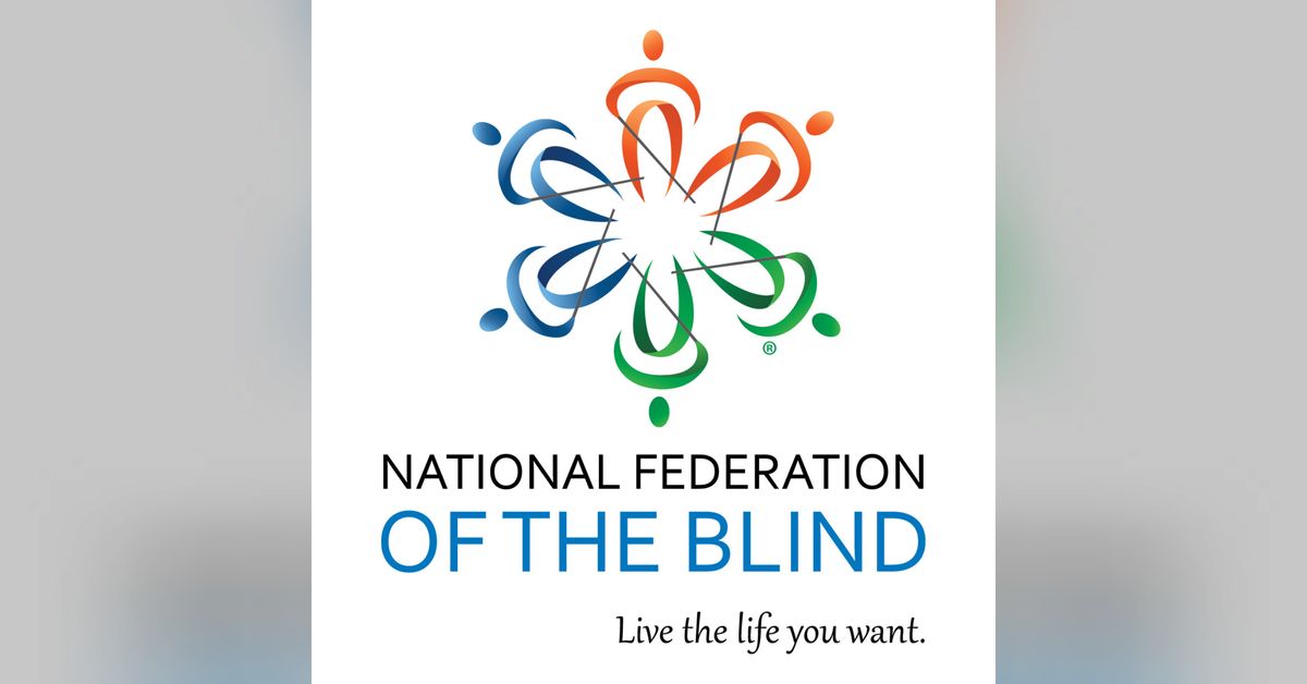 Braille Monitor braillemonitor