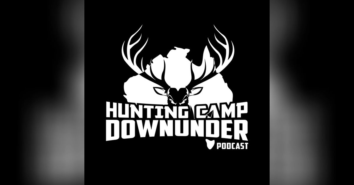 State Forest Hunting for QLD Rhys Bosley Hunting Camp Downunder Podcast