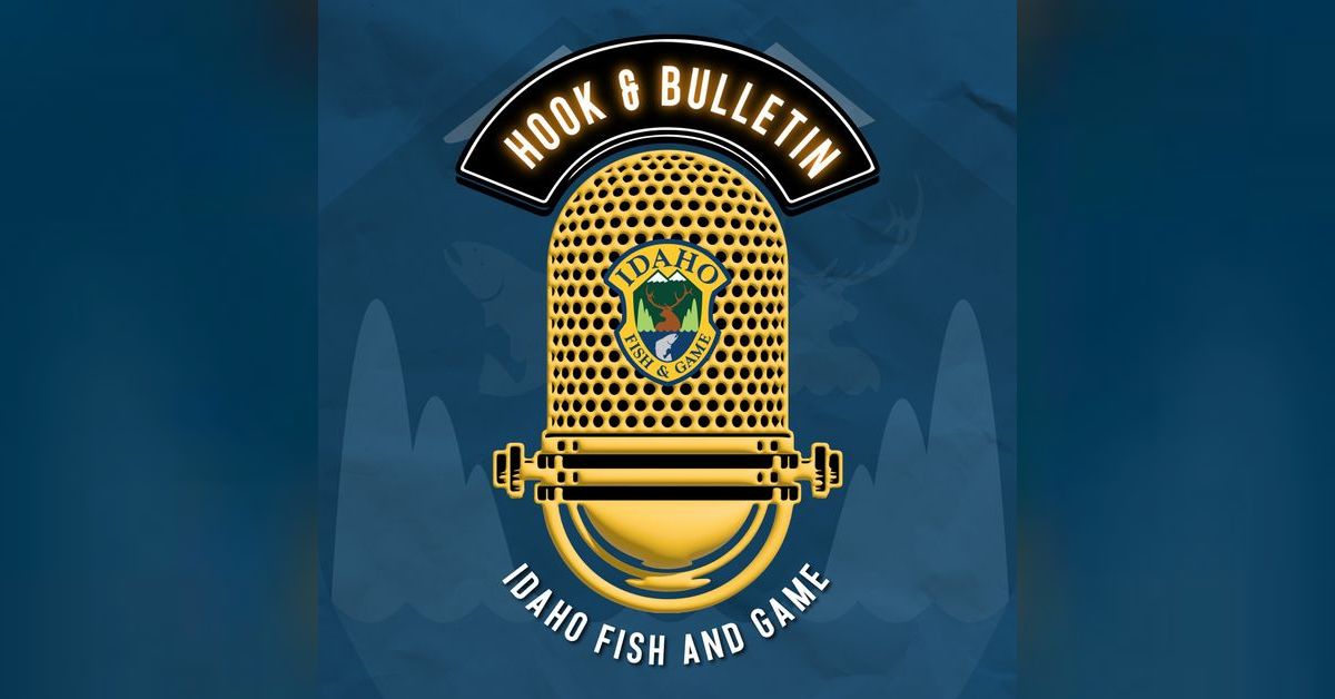 Hook Bulletin Idaho Department Of Fish And Game hook-bulletin-idaho-department-of-fish-and-game
