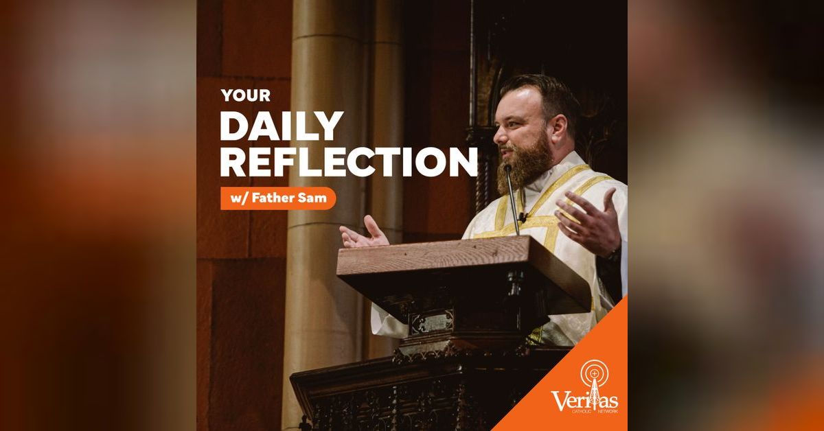 Don't Throw Your Pearls to the Swine Daily Gospel Reflection on