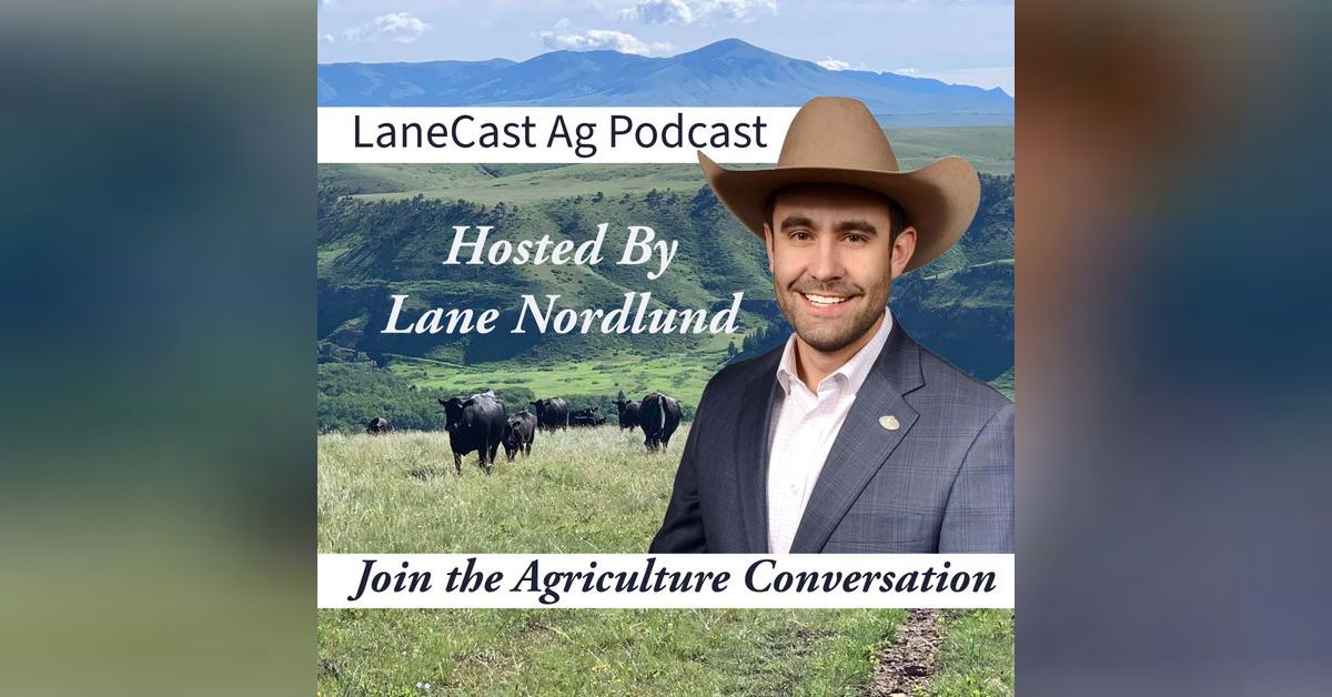 LaneCast Ag Podcast - Record Cattle Prices & Market Insights with Ty ...