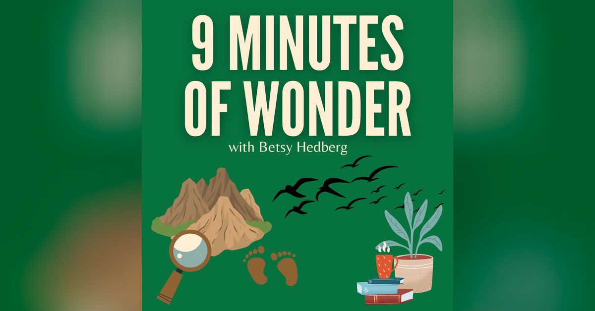 The ruins of Rome 9 Minutes of Wonder