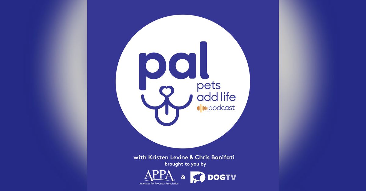 46. Best of 2024 – Celebrating the Moments That Made Us Smile | Pets ...