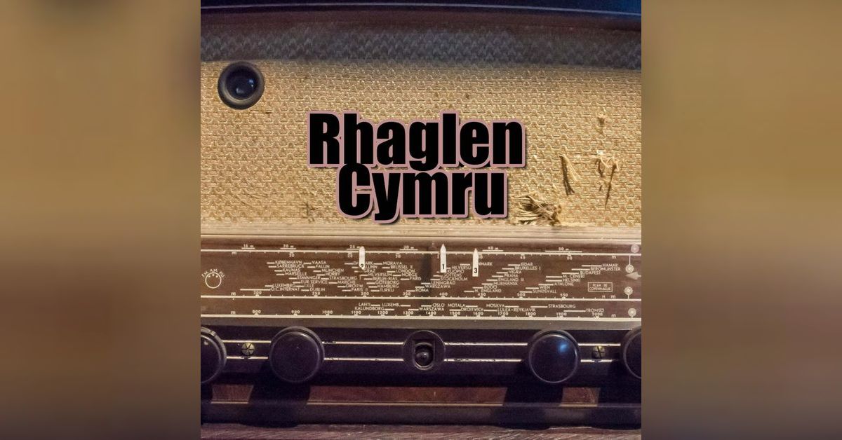 Gwleidyddiaeth a'r cyfryngau | Rhaglen Cymru