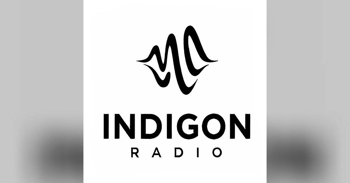Indigon Radio: The Business of Creative Power Podcast - The Indie Hits ...