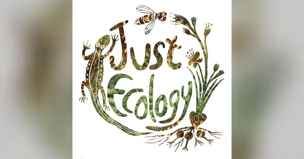 E16 – Reading Ecological Patterns – with Doug Frood | Just Ecology