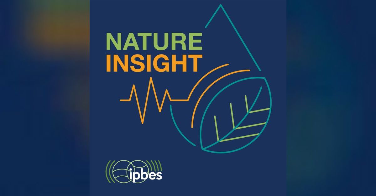 Nature Insight: Speed Dating with the Future | IPBES